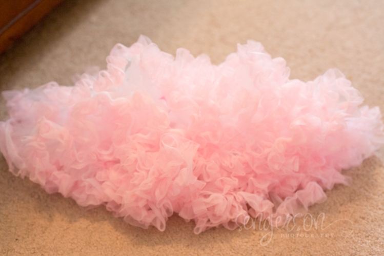 DIY Tutu and Petti Skirt Chiffon