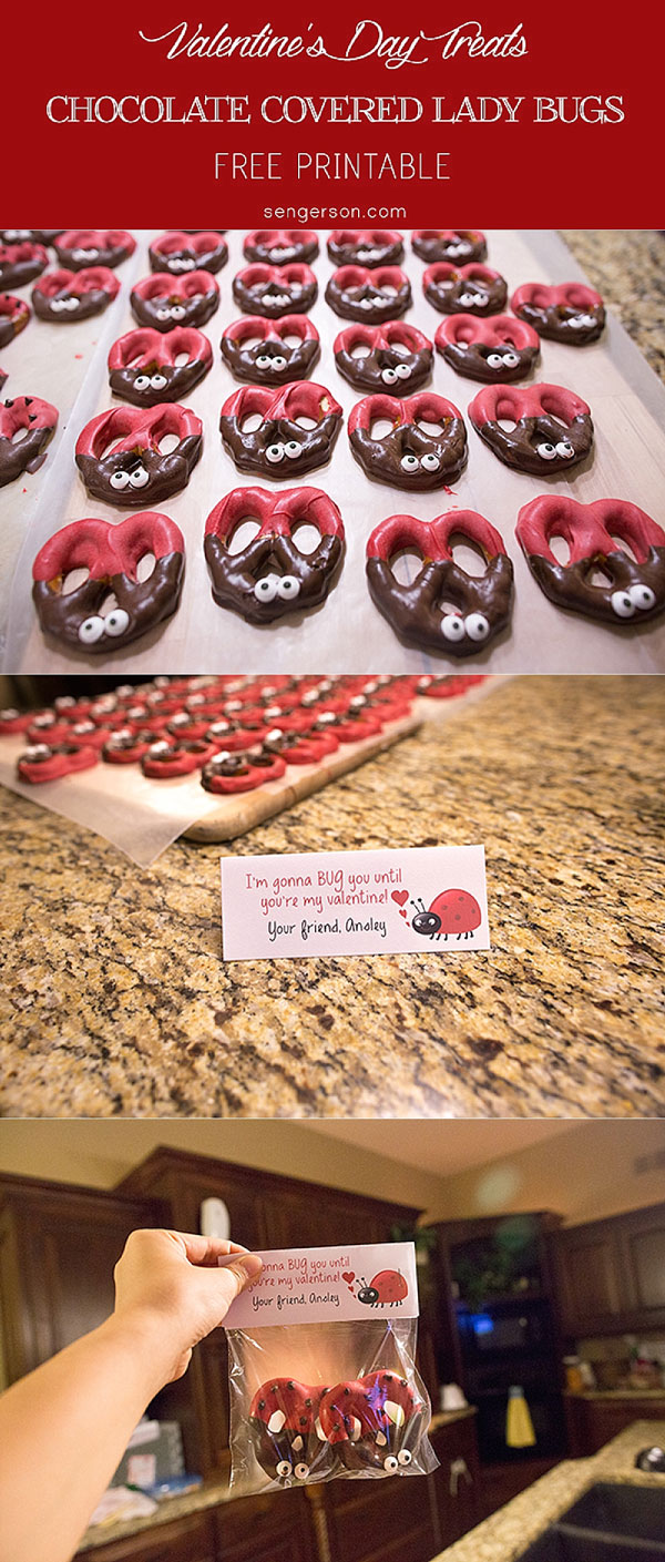 valentines day chocolate covered pretzel lady bugs