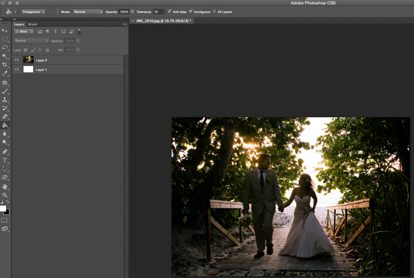 diy-02-background-white