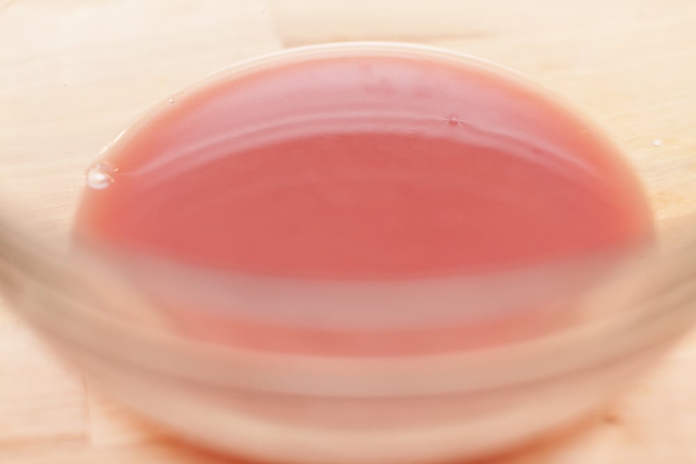 fre alcohol recipe mocktails and popscicles12