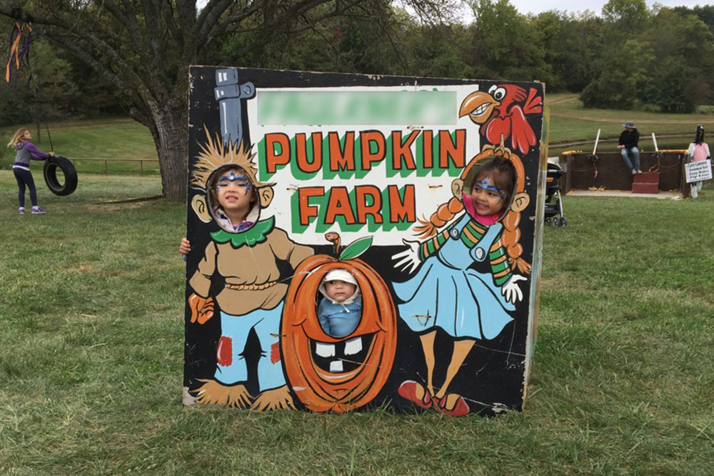 faulkners pumpkin ranch
