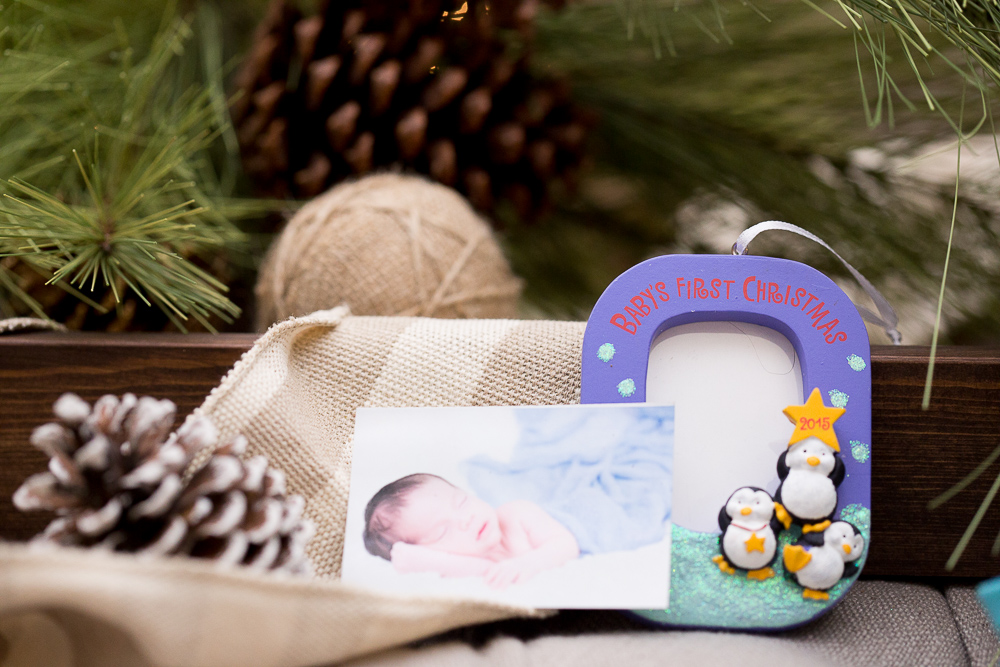 reindeer kissing ornament project103