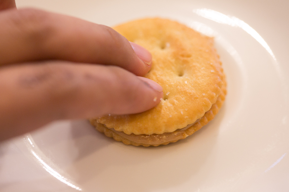 homemade girl scout peanut butter patties
