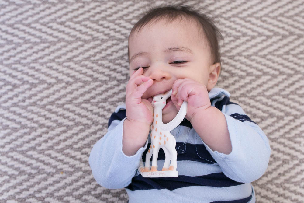 sophie giraffe teether products 8