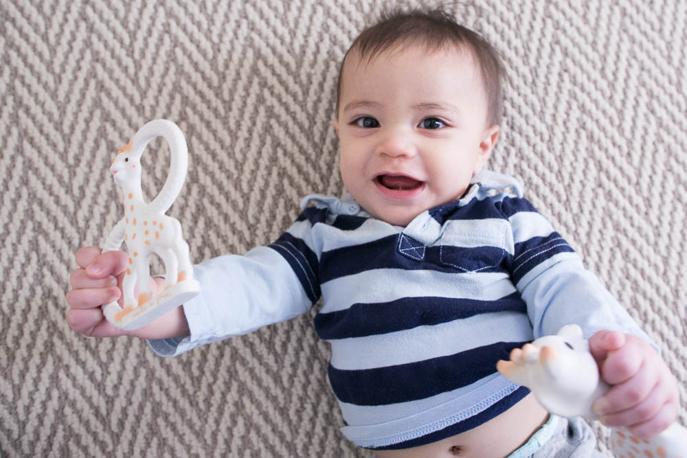 sophie giraffe teether products 8