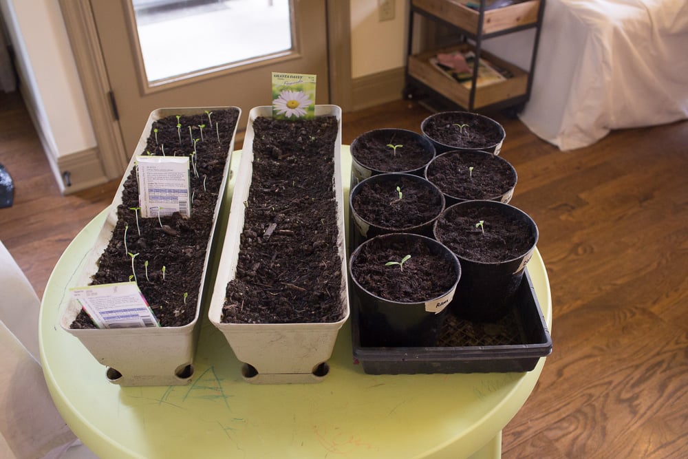 Easter Basket Ideas for Gardener