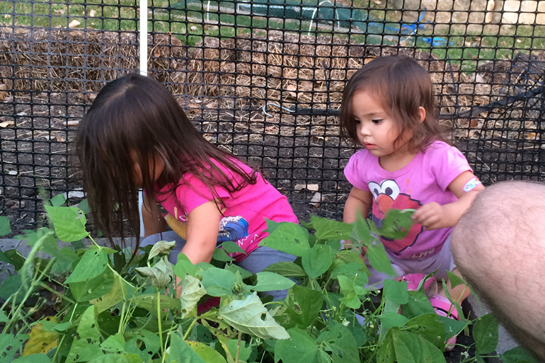 Screen Shot 2016-07-20 at 9.00.25 PM