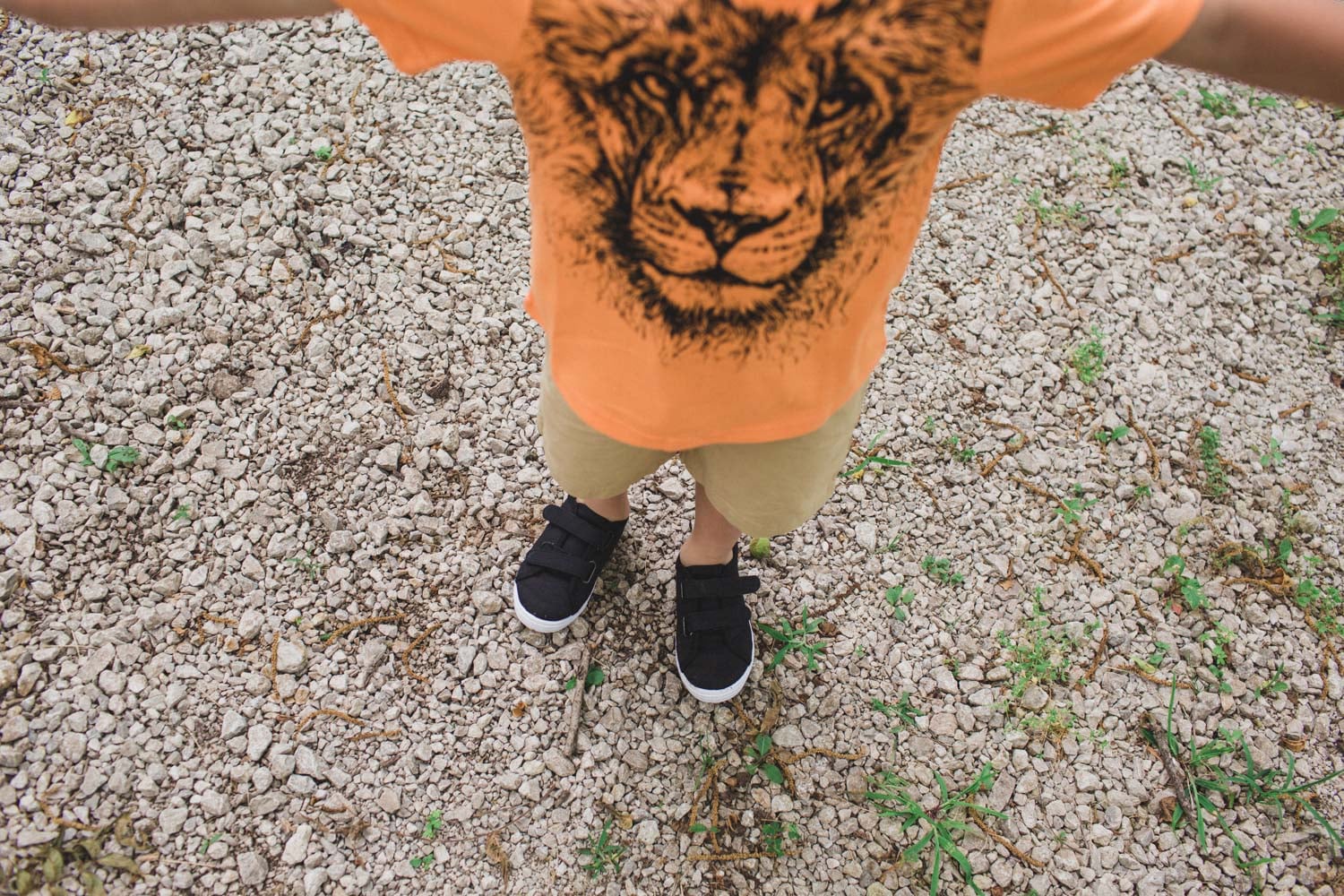 Zoo t-shirt for kids - Lion graphic tee with khaki shorts inspire a safari themed outfit for kids!