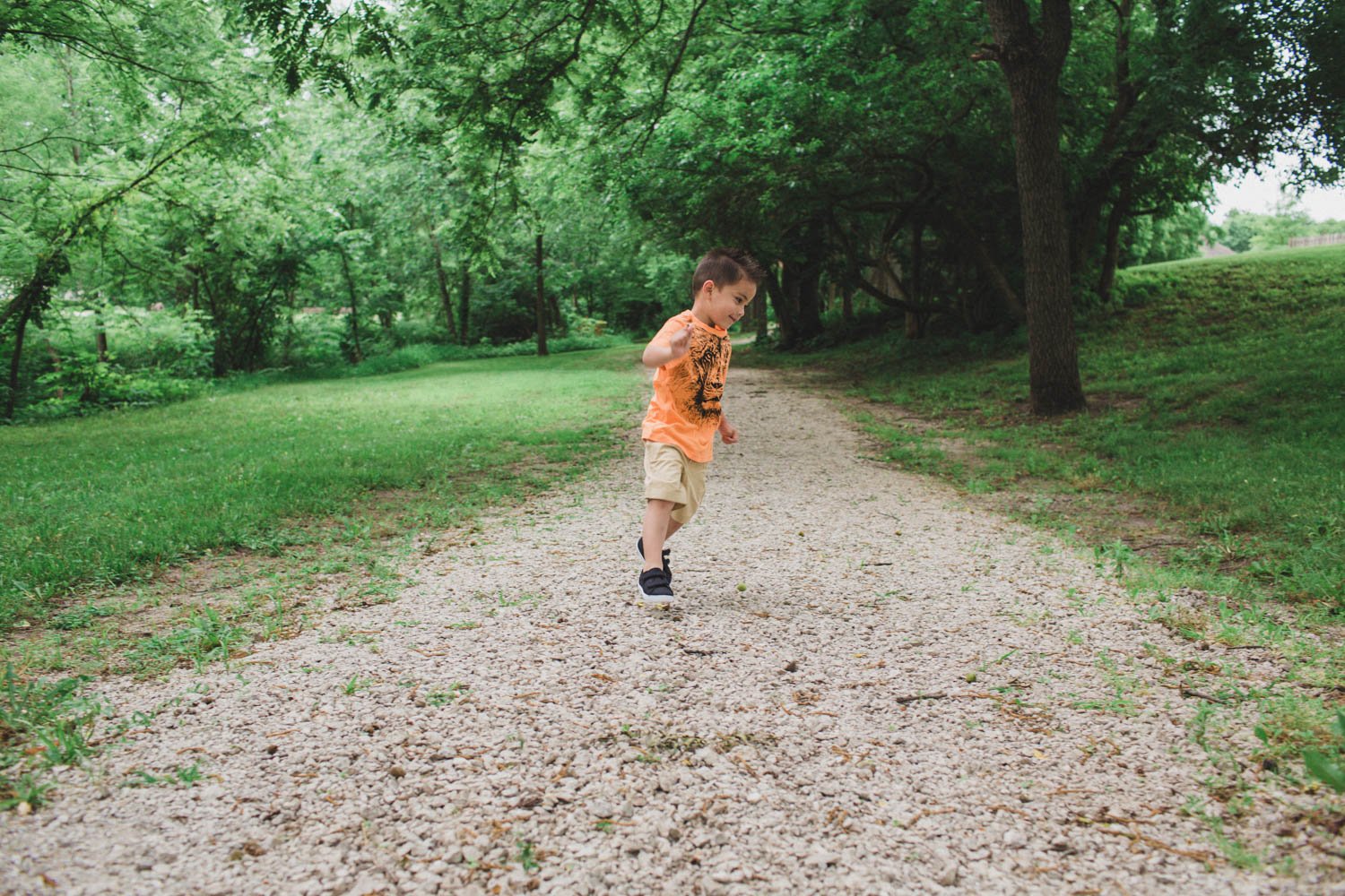 Zoo t-shirt for kids - Lion graphic tee with khaki shorts inspire a safari themed outfit for kids!