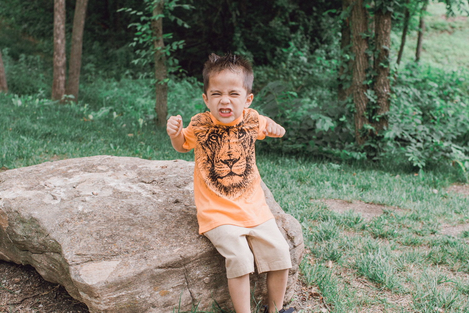 Zoo t-shirt for kids - Lion graphic tee with khaki shorts inspire a safari themed outfit for kids!