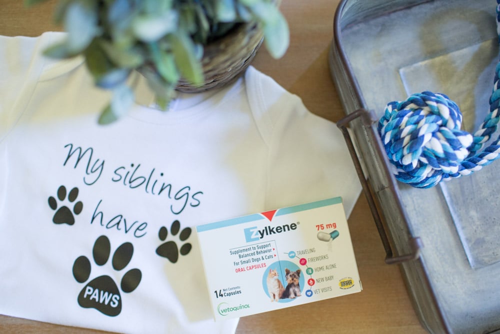 Preparing Our Cat for Baby