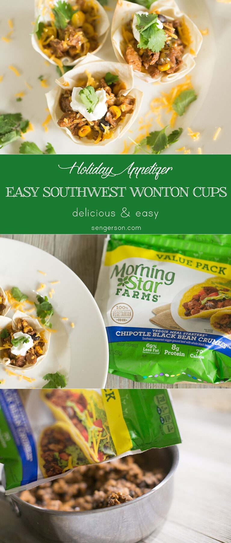 Southwestern Black Bean and Corn Wontons