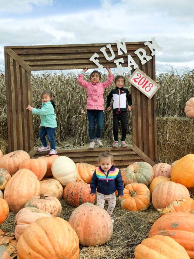 Ultimate Guide to KC Pumpkin Patches Home DIY, Design, and Organization for Families Sengerson