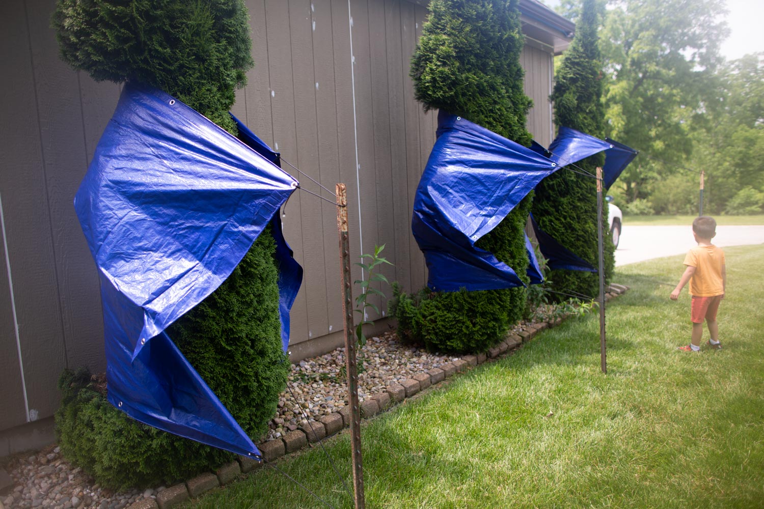 How to Paint Behind and Around Bushes Outdoor Hack for Painting Exterior