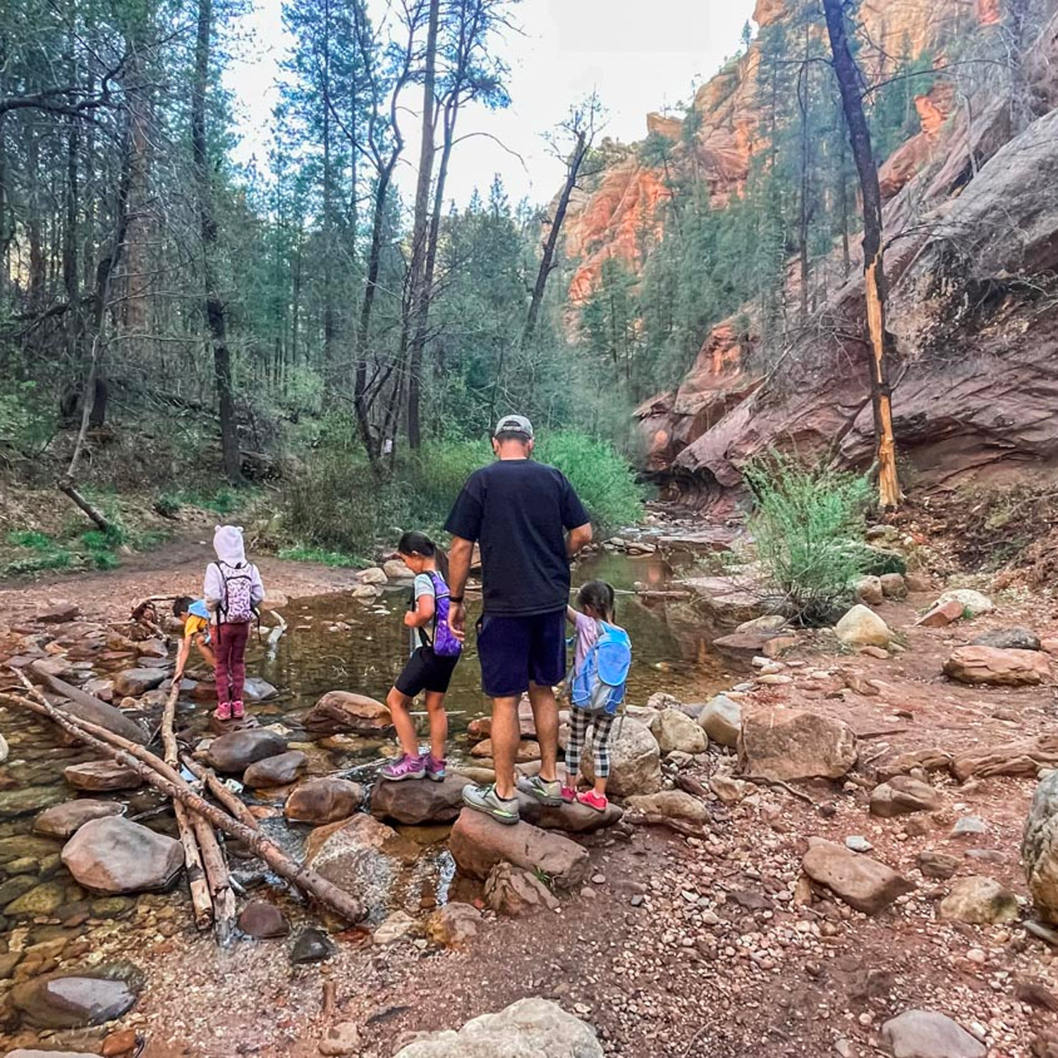 West Fork Oak Creek Trail with Kids Sedona Vacation Family Hike