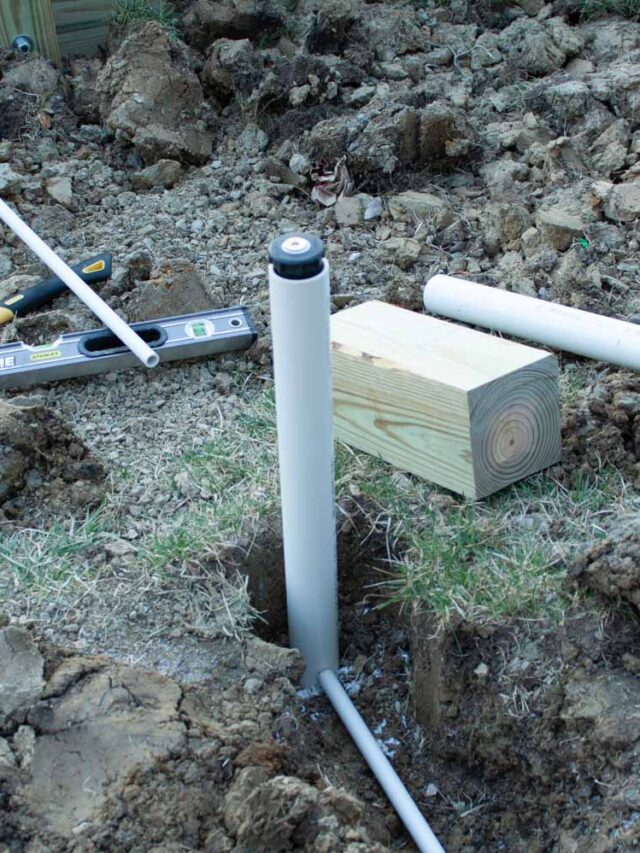 Picture of DIY Garden Sprinkler: Tips and Mistakes to Avoid - Home DIY, Design ...