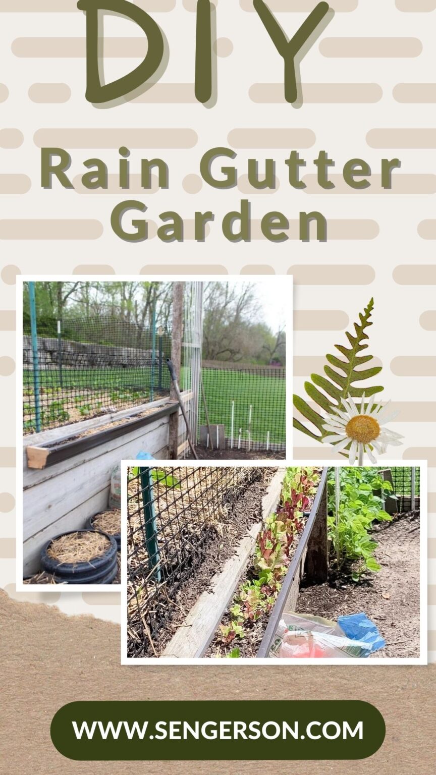 Rain Gutter Garden Guide: Practical Building Hacks