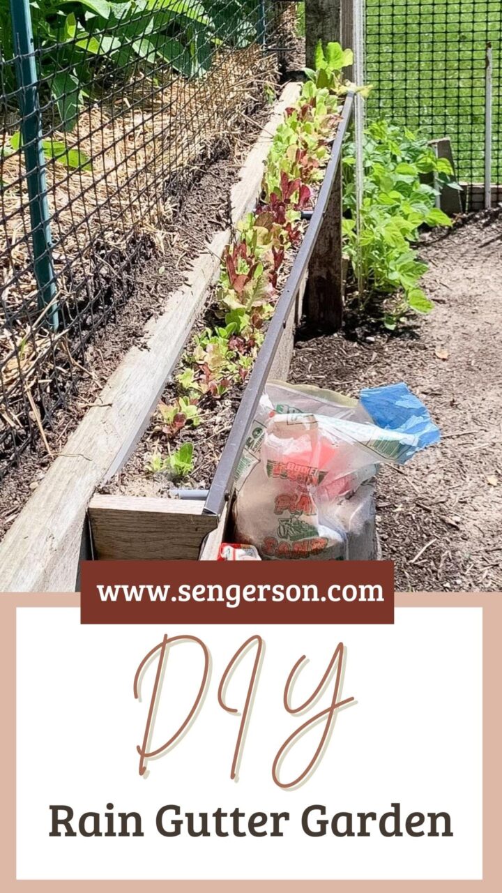 Rain Gutter Garden Guide: Practical Building Hacks