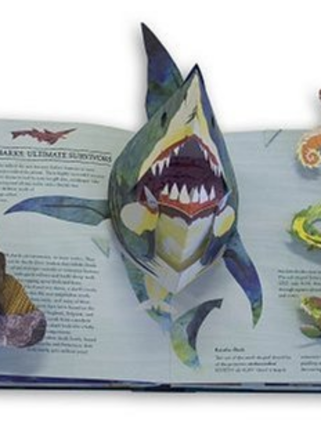 Amazon's Best Children Pop Up Books Home DIY, Design, and