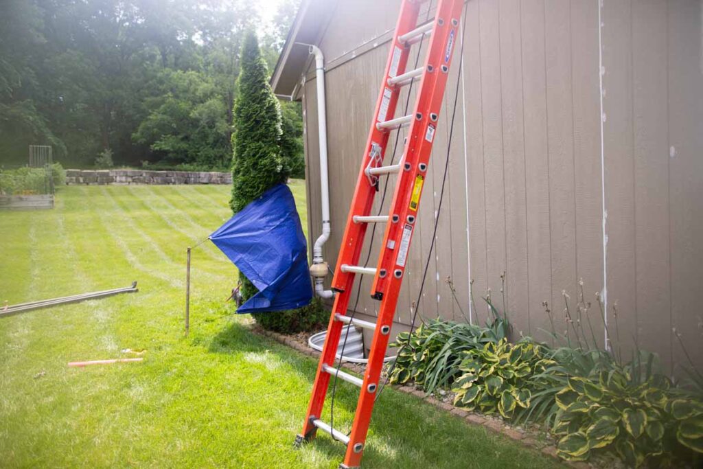 tarp on a bush while painting