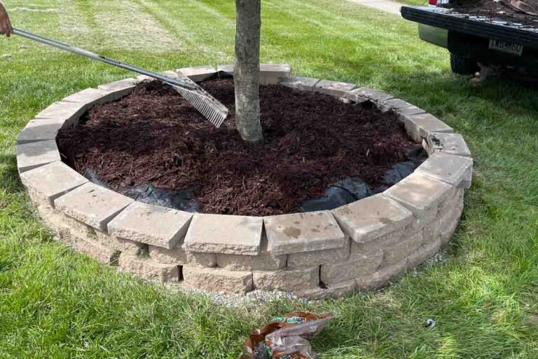 Easy DIY Tree Ring Makeover: Budget-Friendly Front Yard Transformation