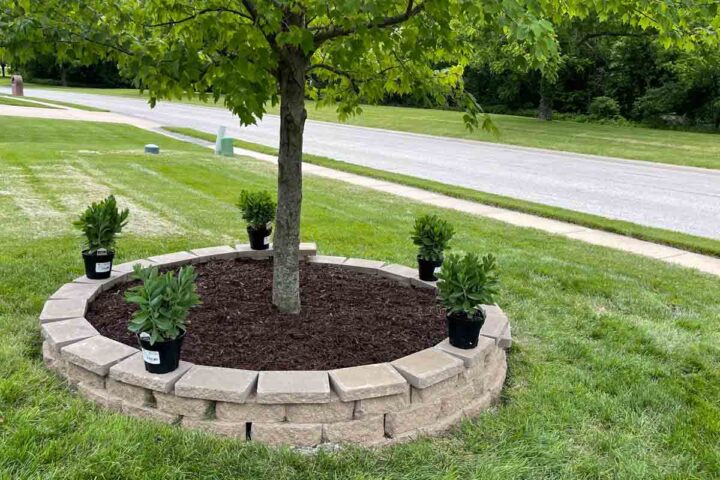 Making Rock Tree Rings Easy DIY Tree Ring Makeover: Budget-Friendly Front Yard Transformation